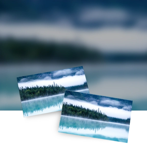 Magnetic Business Cards | Kudos Printing